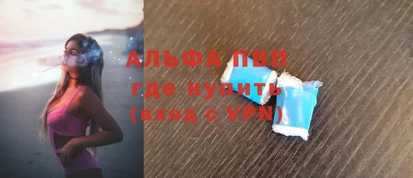 гидра Алексин