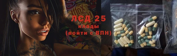 прущий лед Алзамай