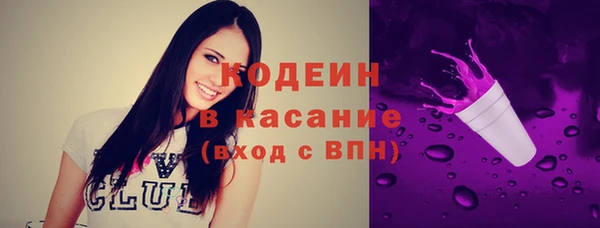 прущий лед Алзамай