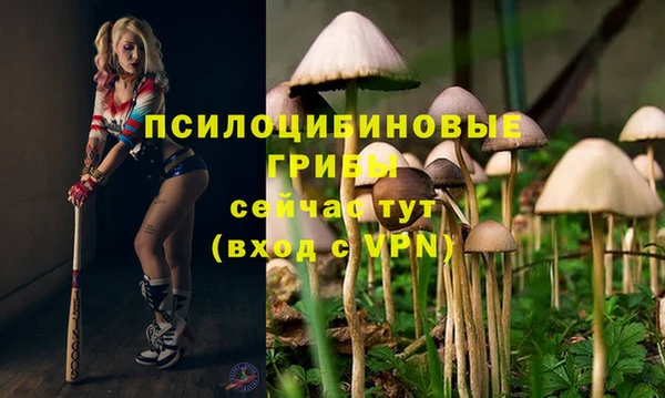 марки nbome Алексеевка