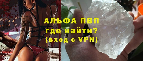 гидра Алексин