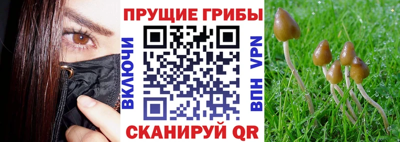 Галлюциногенные грибы Magic Shrooms  Чёрмоз 